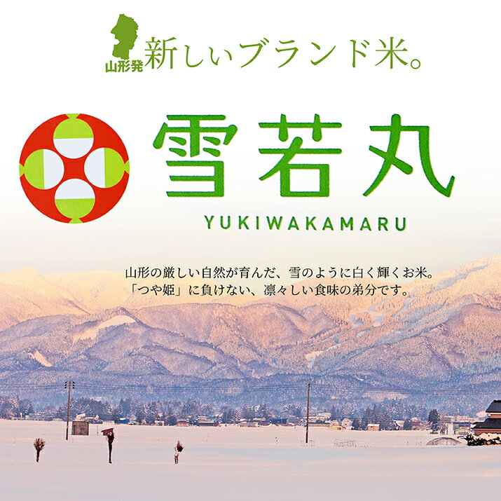 【2022年10月上旬発送 令和4年度産 新米予約】雪若丸 送料無料 玄米 30kg 精米 山形県産 つや姫 弟 お米 贈答用 化粧箱　歓送迎会 お年賀 内祝い 歓送迎会 誕生日 減農薬 減化学肥料 特A米 精米 ギフト 産地直送 のし 送料無料 ビンゴ 景品 退職祝い 入学祝い お返し