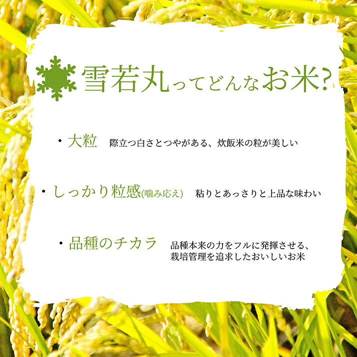 【2022年10月上旬発送 令和4年度産 新米予約】雪若丸 送料無料 玄米 30kg 精米 山形県産 つや姫 弟 お米 贈答用 化粧箱　歓送迎会 お年賀 内祝い 歓送迎会 誕生日 減農薬 減化学肥料 特A米 精米 ギフト 産地直送 のし 送料無料 ビンゴ 景品 退職祝い 入学祝い お返し