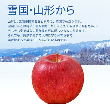 \只今お届け中/ フルーツ ギフト りんご 送料無料 サンふじ 3kg フルーツ 山形県産 名水百選の水使用のりんご ステビア栽培りんご りんご贈答用 りんご化粧箱入り ギフト箱りんご お取り寄せりんご りんご 御年始 アップル 果物 お年賀