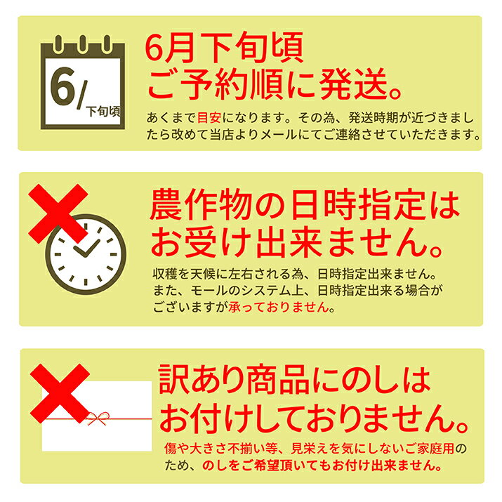 さくらんぼ佐藤錦14