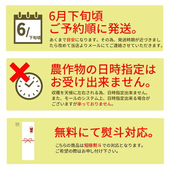 さくらんぼ佐藤錦9