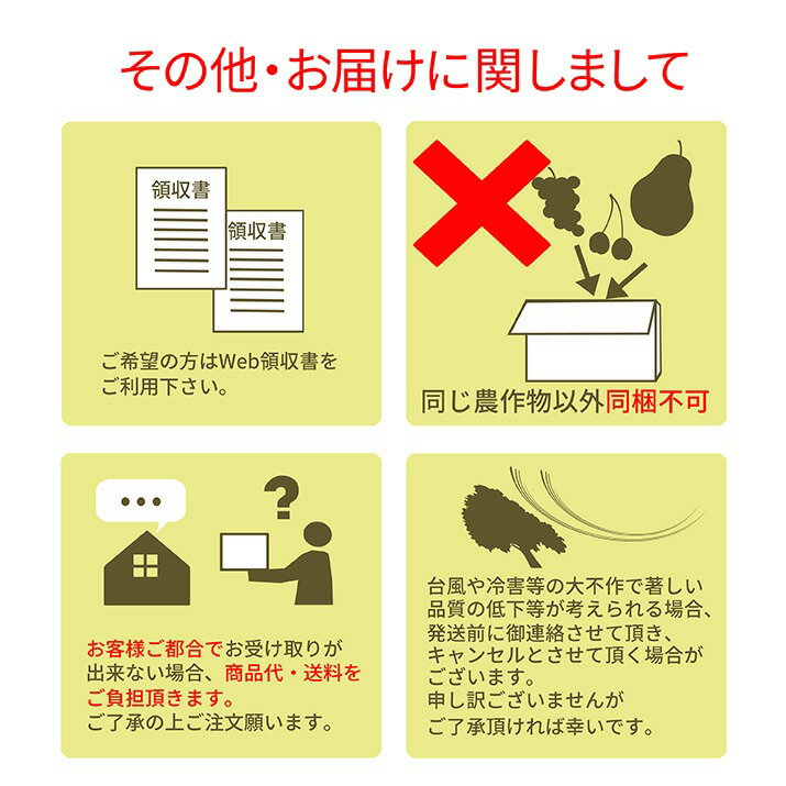 さくらんぼ佐藤錦15