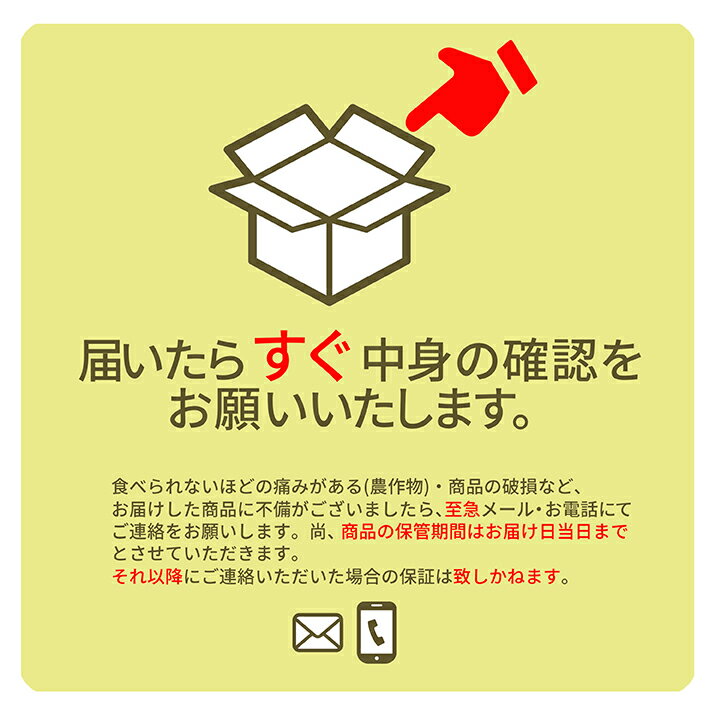 さくらんぼ