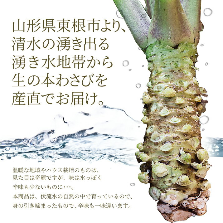 キユーピー　タルタルソース（260g）×10個