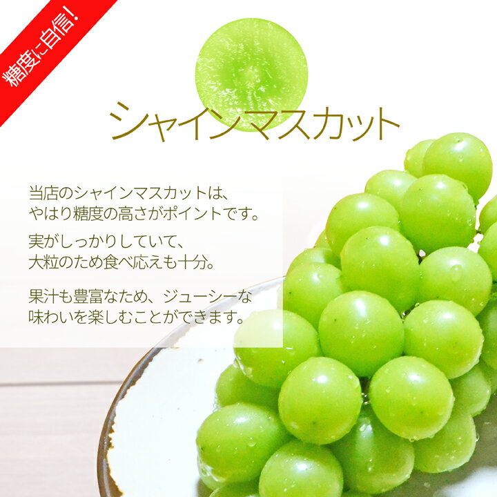 完熟マンゴー 【青秀】 4L(約510g以上×3個) 「情熱みやざきブランド！」発送は5/20日～7/10日迄（季節商品の為発送時期が10日前後する事がございます。