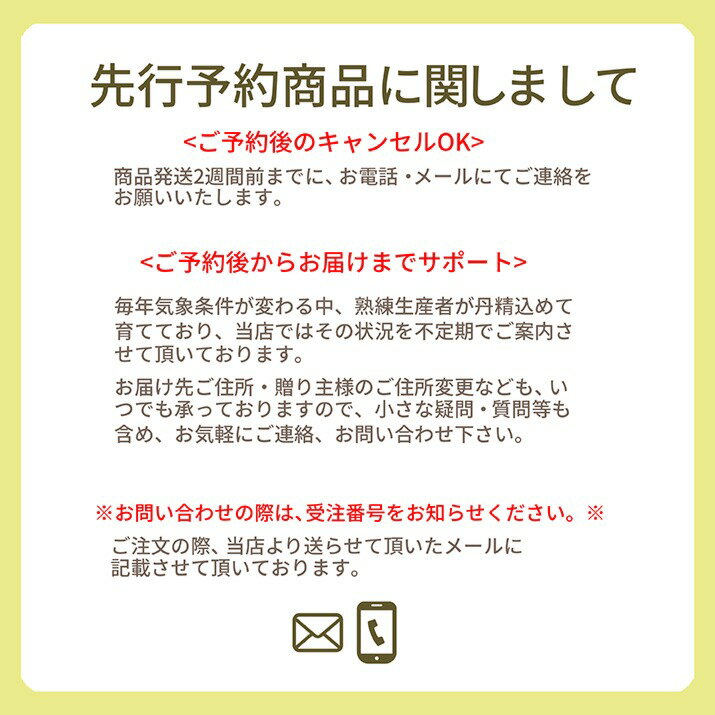 さくらんぼ佐藤錦12