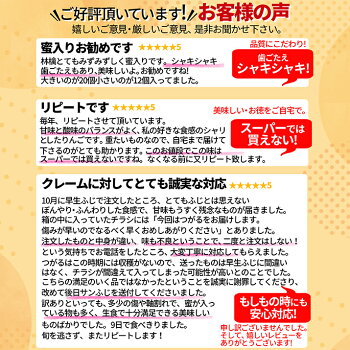 りんご9