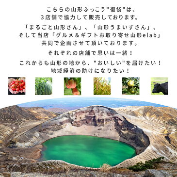 【2021年6月下旬発送 早割】さくらんぼ 佐藤錦or紅秀峰 山形県産 1kg バラ詰め家庭用 数量限定 産地直送 訳あり サイズ混合 送料無料 ※遠方へは別途送料がかかります ふっこう復袋