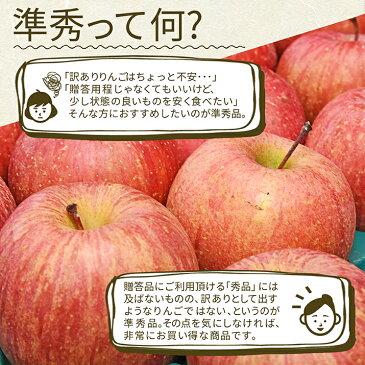 \只今お届け中/ りんご サンふじ 10kg 山形県産 サンふじ 訳ありでは不安な方必見のりんご お取り寄せりんご 名産品りんご 特産りんご りんご通販 生産地直送りんご 送料無料 果物 進学 内祝い パーティー帰省暮
