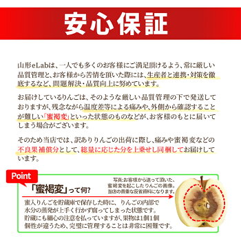 りんご2