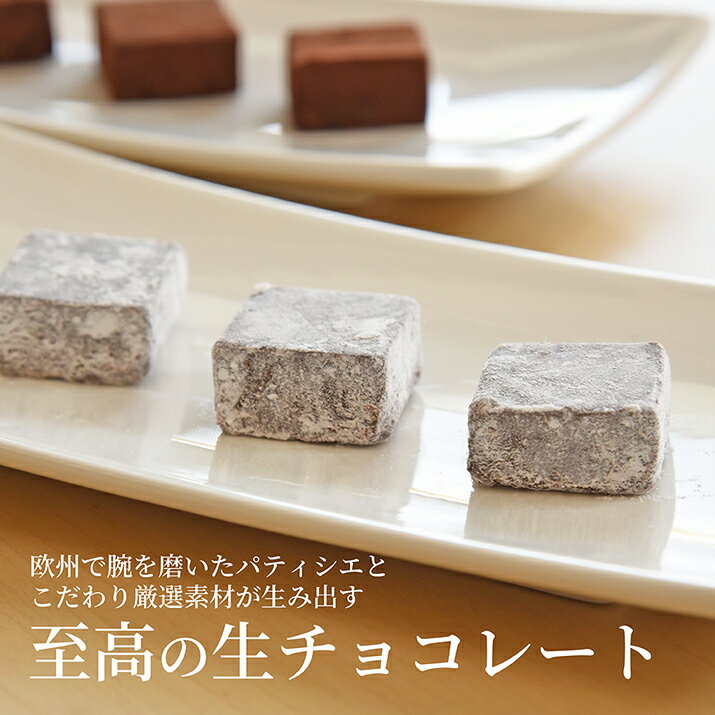 本格 生チョコレート 24粒 化粧箱入り 手作り 本格 生チョコ ビター＆アールグレイ クール便発送 バレンタインデー ホワイトデー 母の日 父の日 ステットラー 2025 ギフト箱入り お得 高級 会社 職場