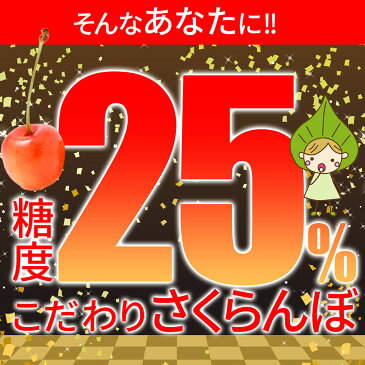 【6月発送・先行予約】 山形県産 さくらんぼ　糖度25%以上 特秀 2L玉 バラ詰め 500g 大粒 山形県産 産地直送 化粧箱入 お中元 プレゼント 手詰め 厳選 特秀 送料無料 果物 フルーツギフト