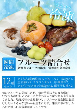 冷凍フルーツ　詰め合わせ12品目入り　お徳用 山形県産 おいしいフルーツ 急速冷凍 凍眠 さくらんぼ ブルーベリー シャインマスカット ラフランス 庄内柿 干し柿