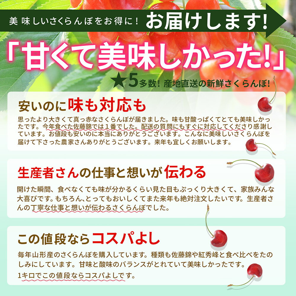 さくらんぼ佐藤錦9