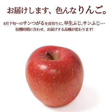 【2020年8月下旬発送・先行早割】 りんご 訳あり 10kg 送料無料 早生ふじ サンふじ 山形県産 産地直送りんご お徳用 ジャムにもOKなりんご りんごジュースにもOK！ 家庭用りんご 日時指定不可 送料無料 健康 食べ物 果物 ポイント消化 美味しいリンゴ