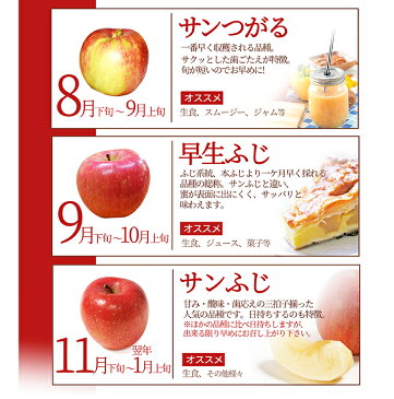 【2020年8月下旬発送・先行早割】りんご 訳あり 5kg サンふじ 山形県産 産地直送りんご お徳用りんご サンふじ 林檎 ジャムにもOKなりんご りんごジュースにもOK！ 家庭用りんご！ フルーツ 送料無料 健康 食べ物 果物 アップル