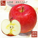 りんご 訳あり 5kg サンふじ 山形県産 産地直送りんご ...