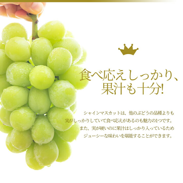山形県産ぶどう・シャインマスカット5