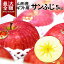 【最大全額ポイントバック!11/25-12/25期間限定】\ただ今、お届け中!/ りんご 送料無料 サンふじ 5kg ギフト 山形県産 フルーツ 秀品 ステビア栽培 りんご贈答用 りんご化粧箱 ギフト箱 お取り寄せ 御年始 お年賀 送料無料 アップル 果物 4,998円