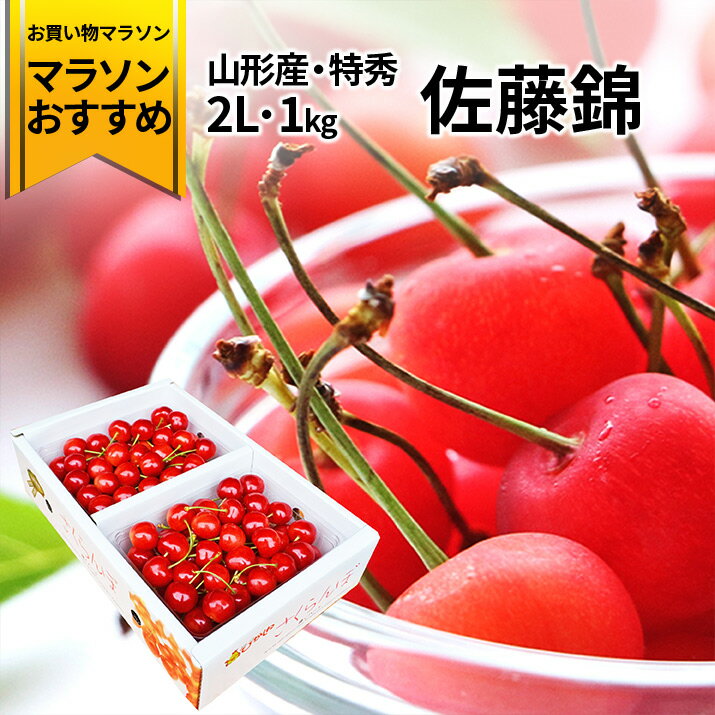 さくらんぼ 【マラソンおすすめ商品】【2024年6月下旬発送 先行早割】 2L 特秀 さくらんぼ 佐藤錦 贈答品 1kg（500g×2）なんと、名水百選の水を使って栽培！品質保障 山形県 産地直送 佐藤錦 2Lサイズ 送料無料【同梱不可】【日時指定不可】