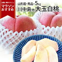 桃 【2024年8月中旬発送・先行早割】 山形県産 白桃 5kg（約18玉前後）産地直送の桃 お供え あかつき 川中島白桃 贈答用の桃 美味しい桃 【同梱不可】進学 就職祝い 内祝い ギフト 桃 送料無料 果物 内祝い フルーツ クール便発送