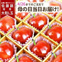 ＼母の日 早割 今なら当日お届けOK!／ さくらんぼ 佐藤錦 特秀 L玉 24粒入 化粧箱...