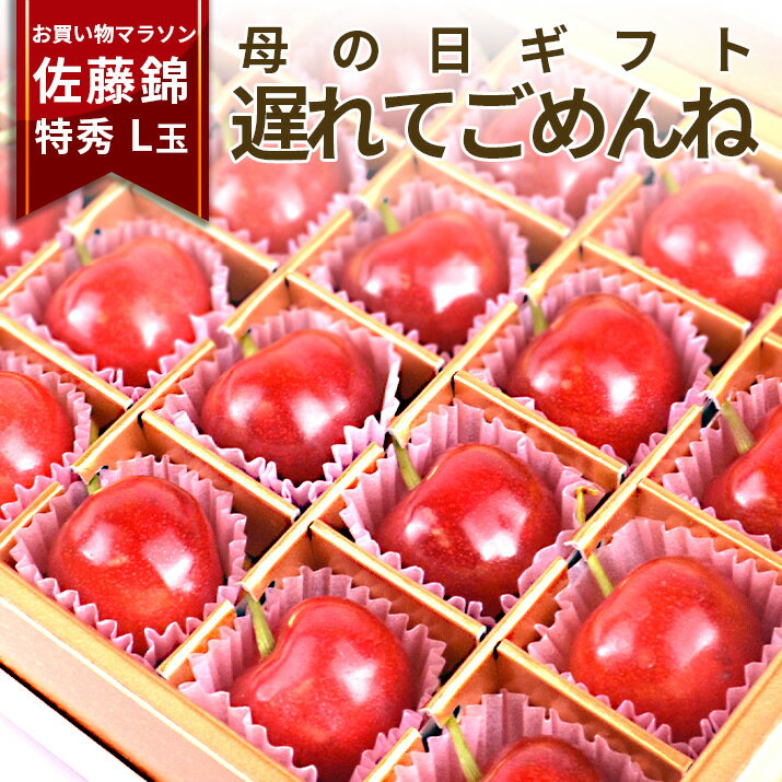 さくらんぼ ＼12日(日)発送OK! 母の日 プレゼント／ さくらんぼ 佐藤錦 特秀 L玉 24粒入 化粧箱入 産地直送 手詰め 思い出に残る 送料無料 同梱不可 加温 フルーツギフト 内祝い カーネーション (造花) メッセージカードつき