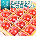 \母の日 さくらんぼ ギフト まだ間に合う!/ 大粒 佐藤錦 特秀 L玉 2L玉 24粒入 山形県産 カーネーション(造花) & メッセージカードつき 化粧箱入...