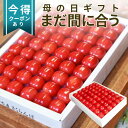 \まだ間に合う 母の日 ギフト/さくらんぼ 佐藤錦 特秀 L玉 鏡詰め 300g 山形県 産地直送 化粧箱入 プレゼント 産地直送 手詰め メッセージカード付き...