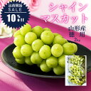 【出荷開始SALE10%OFF】 シャインマスカット 訳あり 2kg入り 約3~5房前後 ぶどう 山形県産 産地直送 お徳用 家庭用 大粒 山形県から産地直送 訳ありシャインマスカット 2キロ 種無し 送料無料 ブドウ 蒲萄 くだもの 果物 フルーツ マスカット 自宅用 応援 同梱不可