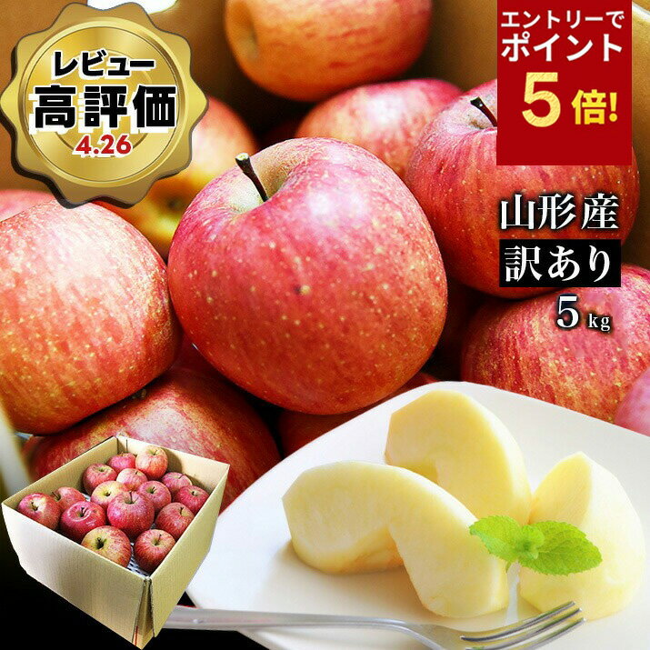 【エントリ—で今だけP5倍！】 ＼只