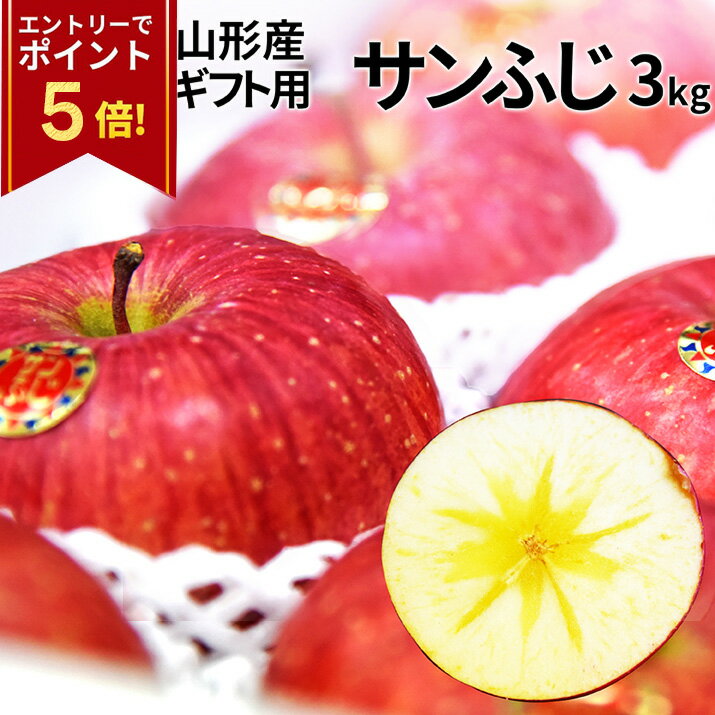 【エントリ—で今だけP5倍！】 【ス