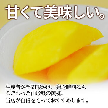 山形県産 黄桃 3kg(13〜16玉前後)ちょっと訳ありだから お買い得 固い黄桃 や 柔らかい黄桃 をお届け 山形県から産地直送の 硬い黄桃 黄金桃 【同梱不可】※お一人様2箱まで 【2018年 9月上旬発送】【送料無料】