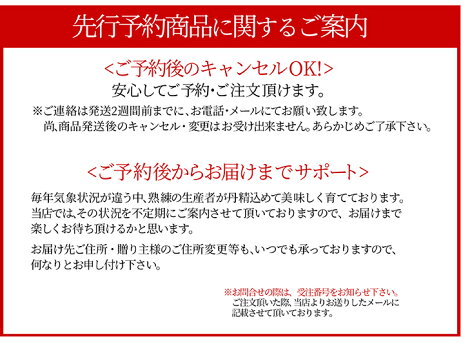 特秀さくらんぼ佐藤錦14
