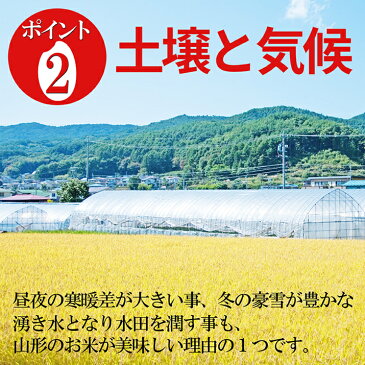 山形県産 はえぬき 白米 30kg (5kg×6袋) 30年産 精米 ギフト 新生活応援 産地直送 のし プレゼント おにぎらず 代表米 お土産 通販 ブランド米 東北 【送料無料】 内祝い