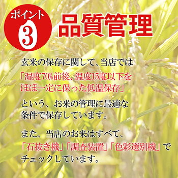 はえぬき4