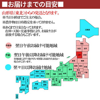 りんご17