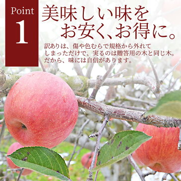 【2020年11月上旬発送・先行早割】りんご サンふじ 10kg 山形県産 サンふじ 訳ありでは不安な方必見のりんご りんご化粧箱入り お取り寄せりんご 名産品りんご 特産りんご りんご通販 生産地直送りんご 【送料無料】 果物 進学 就職祝い 内祝い パーティー