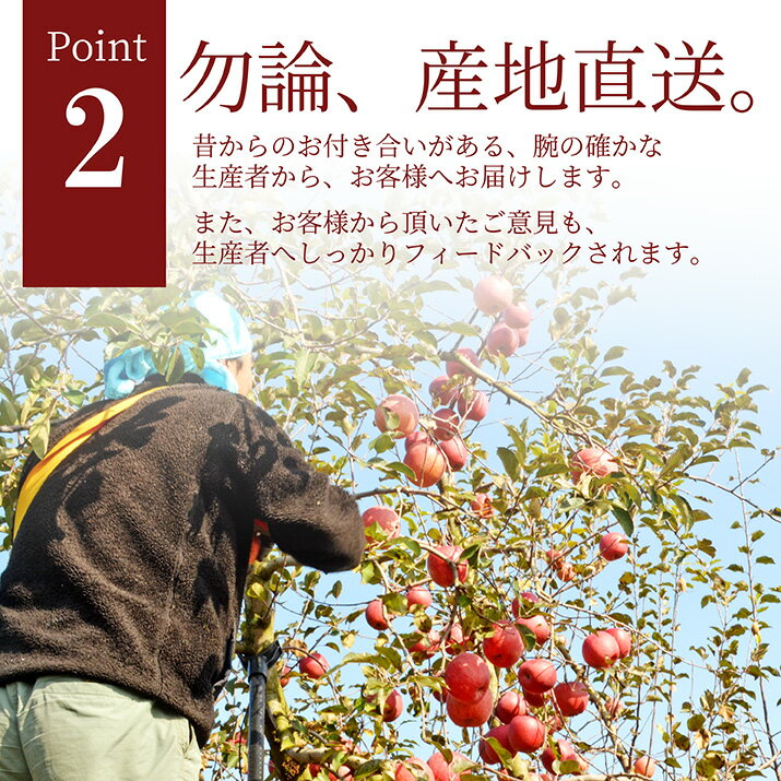 りんご 訳あり 10kg 送料無料 サンふじ 山形県産 産地直送りんご お徳用 ジャムにもOKなりんご りんごジュースにもOK！ 家庭用りんご 日時指定不可 送料無料(四国 九州 沖縄を除く) 健康 冬 寒さ対策 食べ物 果物 お年賀 パーティー