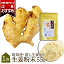 【あす楽】 生姜粉末 国産 55g 高知県産 送料無料 生姜パウダー 無添加 無着色 ジッパー付袋 蒸ししょうが 花見 冷え 寒さ対策に 乾燥ショウガ粉末生姜、乾燥生姜パウダー 乾燥しょうが粉末 ジンジャーパウダー しょうがパウダー 土佐一生姜 買い回り ポイント消化