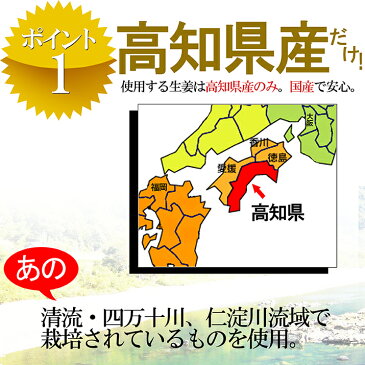 即日発送 生姜粉末 国産 55g 高知県産 生姜パウダー 無添加 無着色 ジッパー付袋 蒸ししょうが 花見 冷え 寒さ対策に 乾燥ショウガ粉末生姜、乾燥生姜パウダー 乾燥しょうが粉末　ジンジャーパウダー しょうがパウダー 土佐一生姜 保存もバッチリ メール便送料無料