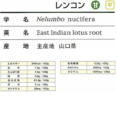 【メール便送料無料】れんこんパウダー 国産 55g無添加 無着色 ジッパー付袋 保存もバッチリ！乾燥れんこん 粉末れんこん レンコン粉末 レンコンパウダー