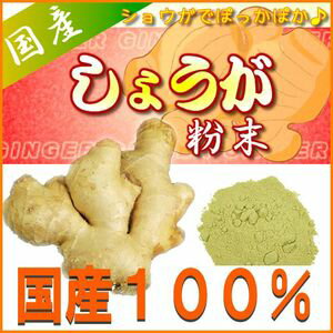 【送料無料】国産生姜粉末（高知県産）180g×5袋 無添加 無着色 ジッパー付袋 保存もバッチリ！乾燥ショウガ粉末生姜、乾燥生姜パウダー、乾燥しょうが粉末、ジンジャーパウダー、しょうがパウダー 土佐一生姜 あす楽 お花見 グッズ