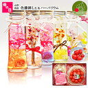ハーバリウム & さくらんぼ 佐藤錦 秀品 L玉 ギフトセッ...