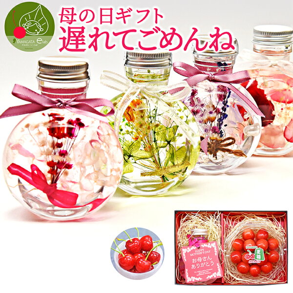 \母の日遅れてごめんね /母の日ギフトハーバリウム母の日&さくらんぼ佐藤錦秀品L玉ギフトセットハーバリウム(丸瓶)とダイヤパック