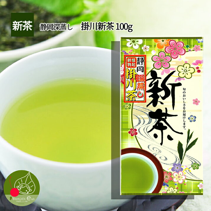 【新茶2021】 【メール便送料無料】 静岡県産 掛川茶 100g 複数購入で 詰め合わせ ギフトもOK 若い茶の香りと味わい そして人気の深蒸し茶 おいしい茶の贈り物 ギフトに日本茶をプレゼント