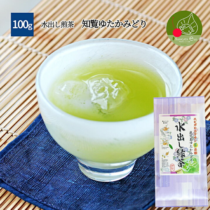 【送料無料】 鹿児島産 知覧 ゆたかみどり 100g 水出し煎茶