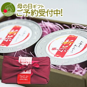 【母の日 ギフト】 新茶 母の日 ギフト 八女茶 知覧茶 2本セット 80g×2本 化粧箱 カーネーション(造花) メッセージカード付き 深蒸し茶 詰め合わせ 不老長寿を願う 風呂敷包み 【送料無料】