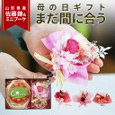 ＼まだ間に合う！母の日 ギフト／ ギフト さくらんぼ 佐藤錦 秀品 M玉 & ミニブーケ ギフトセット 送料無料 花束 カーネーション とダイヤパック入り ギフトカード 旬の味覚をセット プレゼント フルーツギフトの商品画像