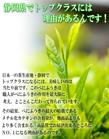 べにふうき茶5